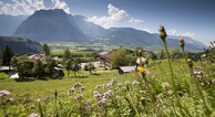 zur Vergrerung klicken