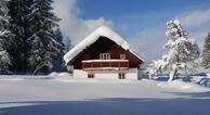  Ferienhaus Abtenau-Fischbach Alm