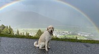 zur Vergrerung klicken