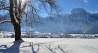  Alpenappartement Brandlehner