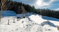 zur Vergrerung klicken