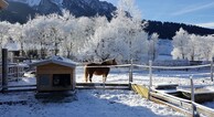 zur Vergrerung klicken