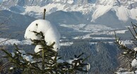 zur Vergrerung klicken