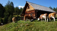 zur Vergrerung klicken