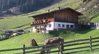 Urlaub auf der Alm