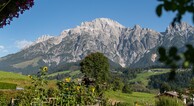 zur Vergrerung klicken