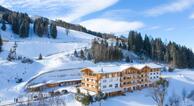 Skylodge Alpine Homes