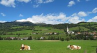 zur Vergrerung klicken