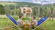 zur Vergrerung klicken