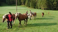 zur Vergrerung klicken