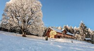 zur Vergrerung klicken