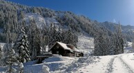 zur Vergrerung klicken