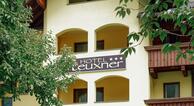 Hotel Steuxner